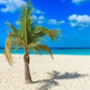 Meet your Posher, Kylee